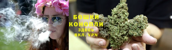 сатива Абаза