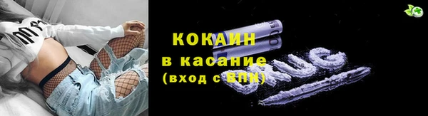 сатива Абаза