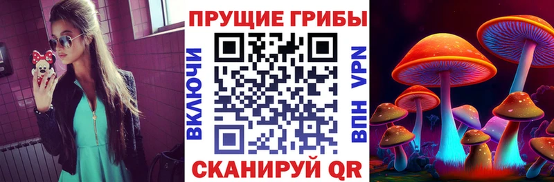 Галлюциногенные грибы Magic Shrooms  магазин продажи   Холмск 