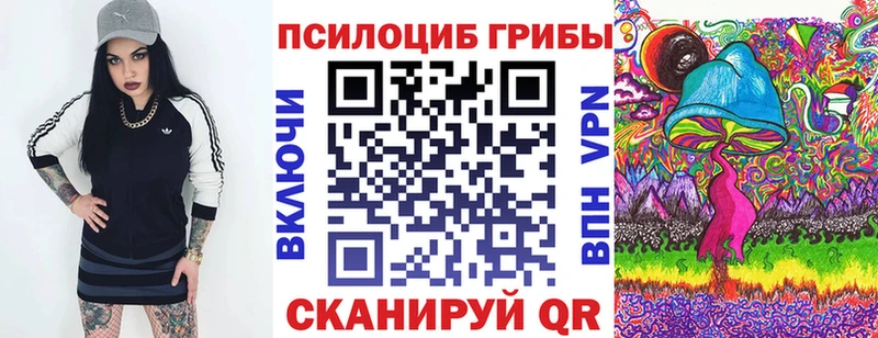 Псилоцибиновые грибы мицелий Холмск